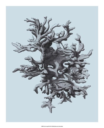 Framed Coral on Aqua III Print