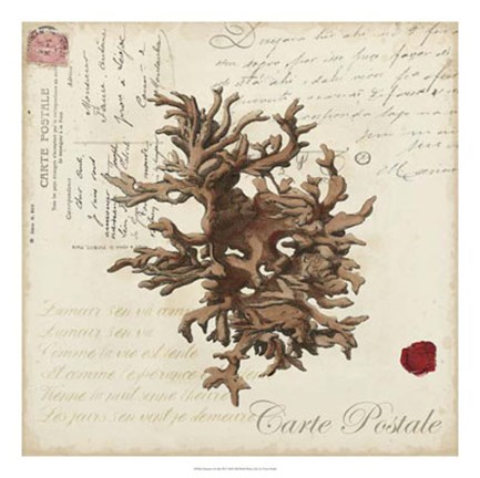 Framed Romance du Mer III Print