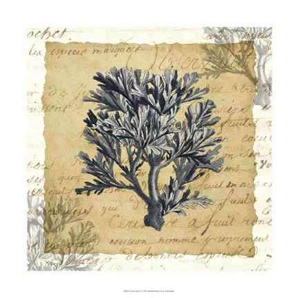 Framed La Vie en Mer IV Print