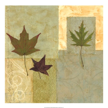 Framed Earth Elements I Print