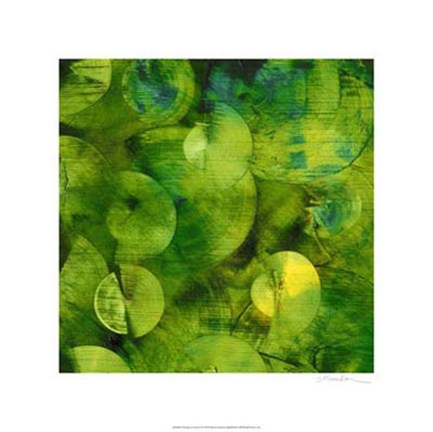 Framed Nautilus in Green I Print