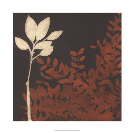 Framed Garden Cameo II Print