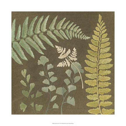 Framed Earth &amp; Fern II Print