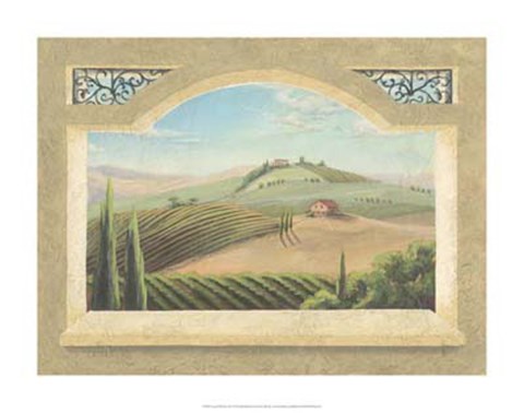 Framed Vineyard Window III Print