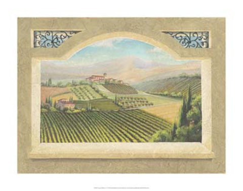 Framed Vineyard Window IV Print