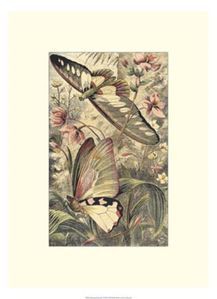 Framed Dancing Butterfly I Print