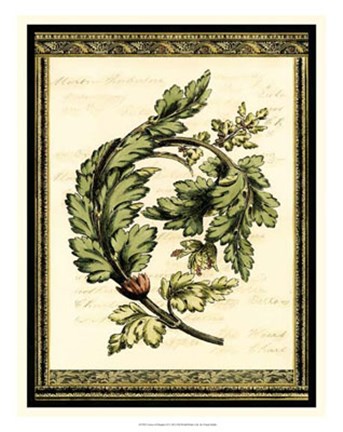 Framed Leaves of Elegance II Print