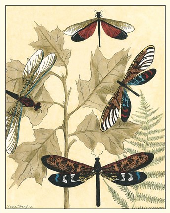 Framed Graphic Dragonflies in Nature I Print