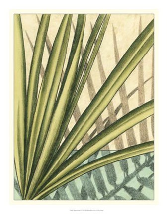 Framed Tropical Shade II Print