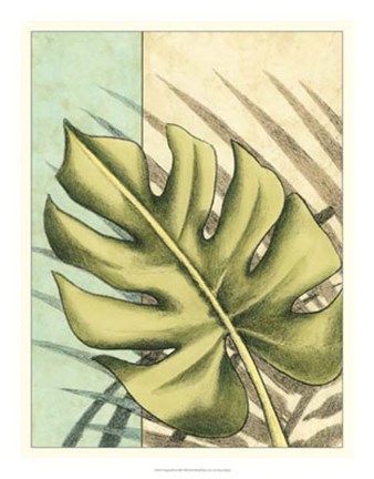 Framed Tropical Shade III Print