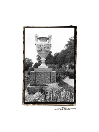 Framed Garden Elegance V Print