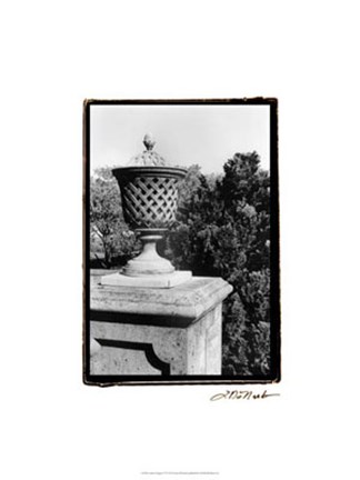 Framed Garden Elegance VI Print