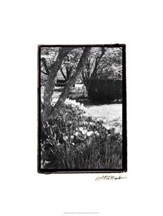 Framed Springtime Garden IV Print