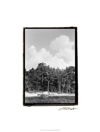 Framed Serene Lake V Print