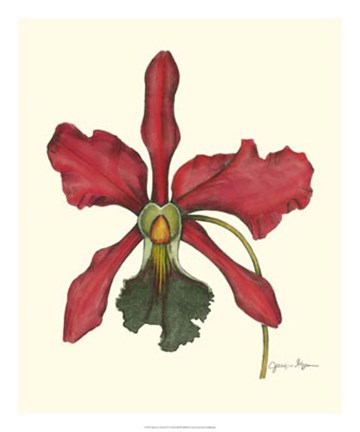 Framed Majestic Orchid IV Print