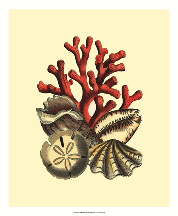 Framed Coral Medley II Print