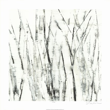 Framed Birches I Print