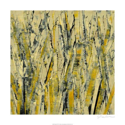 Framed Birches III Print