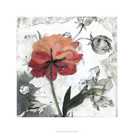 Framed Blossom Montage IV Print