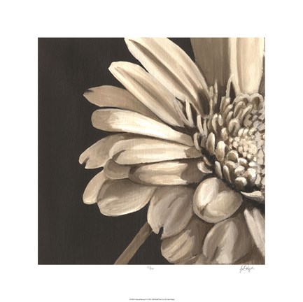 Framed Classical Blooms IV Print