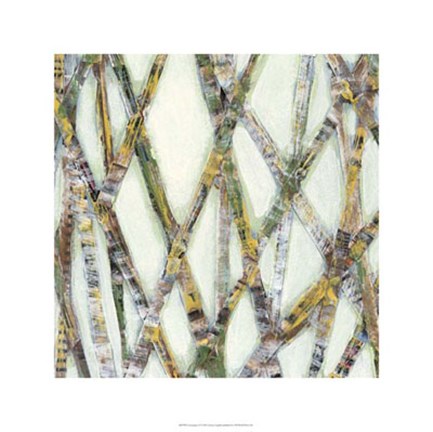 Framed Lemongrass II Print