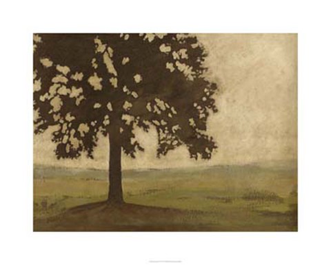 Framed Shenandoah Vista I Print