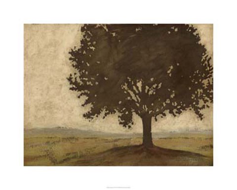 Framed Shenandoah Vista II Print