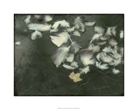 Framed Remnants II Print