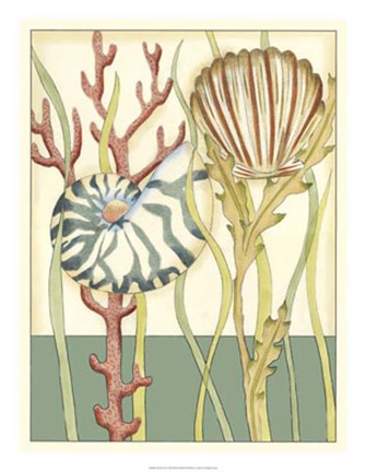 Framed Shell Season III Print