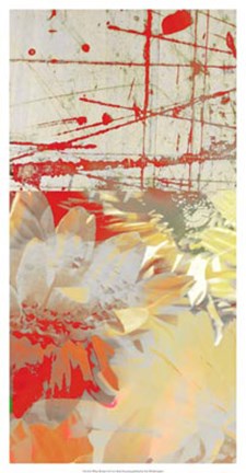 Framed White Wonders I Print