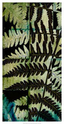 Framed Midnight Ferns II Print