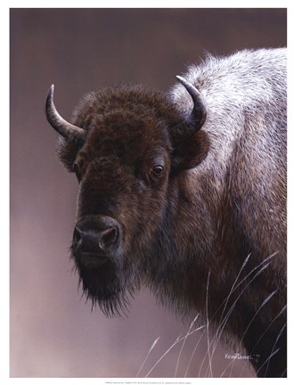 Framed American Icon- Buffalo Print