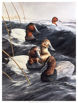 Framed Lost Decoy Print