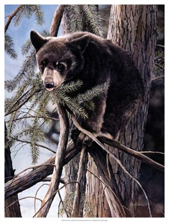 Framed Out on a Limb Print