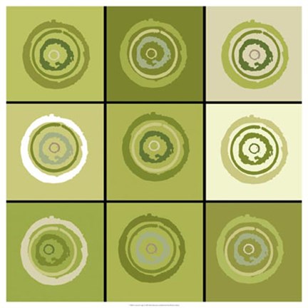 Framed Concentric Sage Print