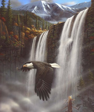 Framed Eagle Portrait Print