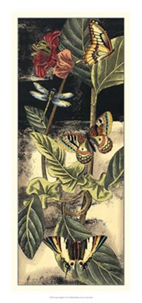 Framed Nature's Delight I Print