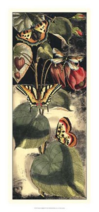 Framed Nature's Delight II Print