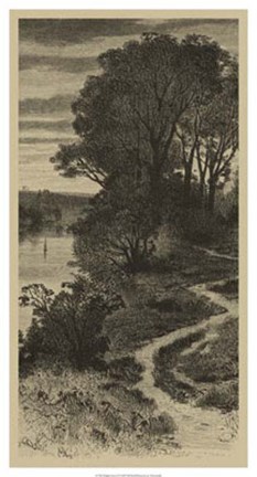 Framed Twilight Grove II Print