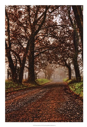 Framed Morning on Sparks Lane II Print