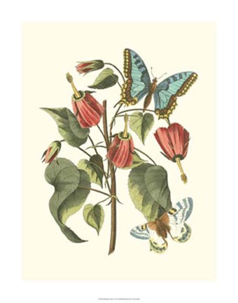 Framed Midsummer Floral I Print