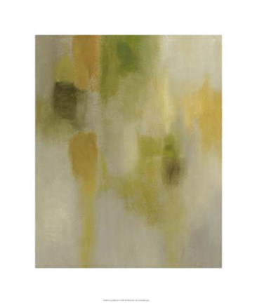 Framed Lotus Reflection I Print