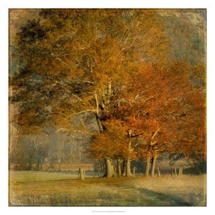 Framed Cluster of Oaks Print