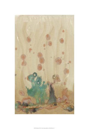 Framed Plankton III Print