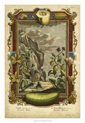 Framed Genesis Fruits I Print