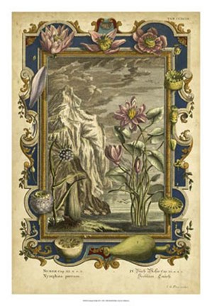 Framed Genesis Fruits III Print