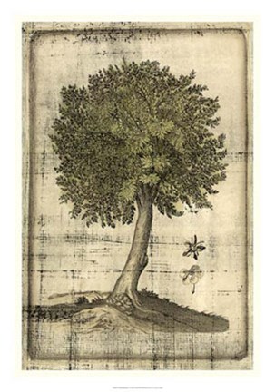 Framed Fruitful Realm I Print