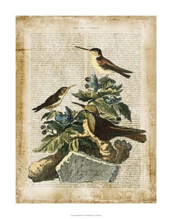 Framed Antiquarian Birds IV Print