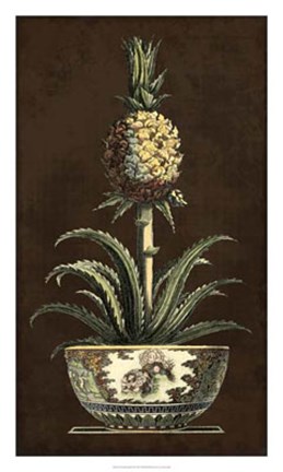 Framed Potted Pineapple II Print