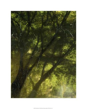 Framed Shaded Reflection II Print